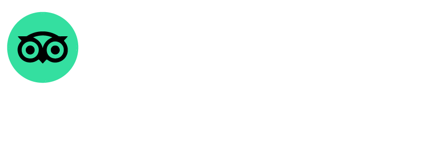 tripadvisor reviews